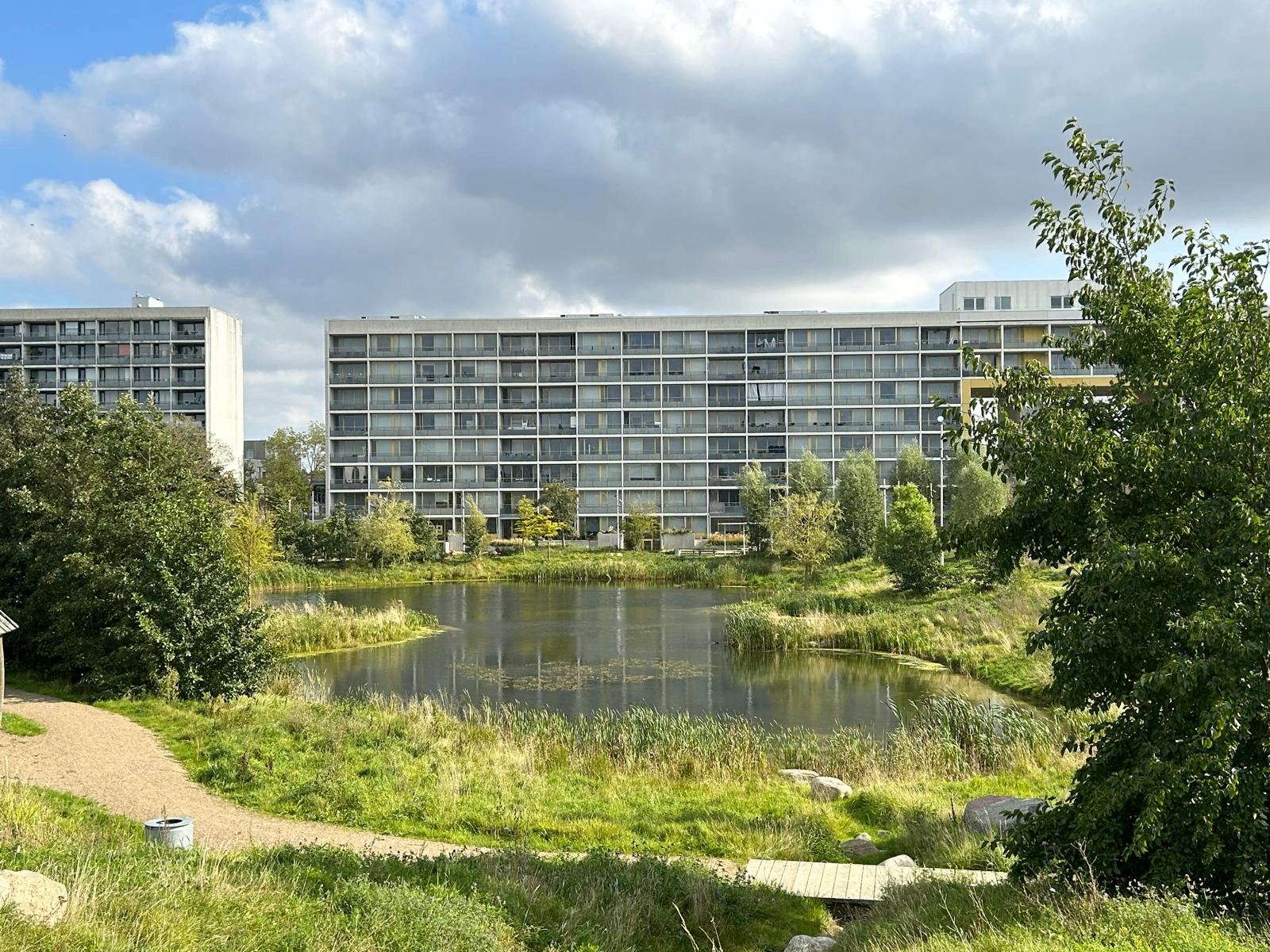 Aarhus case cover